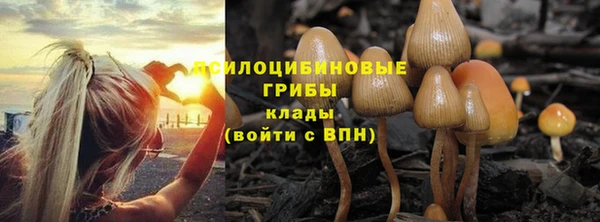 прущие крисы Наволоки