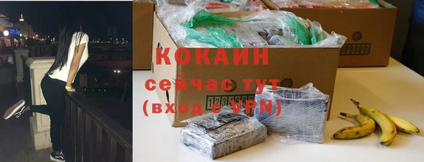 бошки Данков
