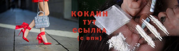 твердый Михайлов