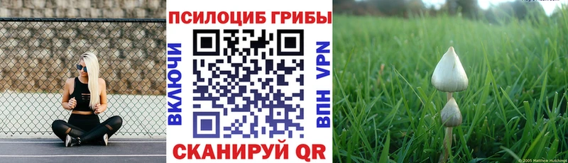 Галлюциногенные грибы мухоморы  что такое   Улан-Удэ 