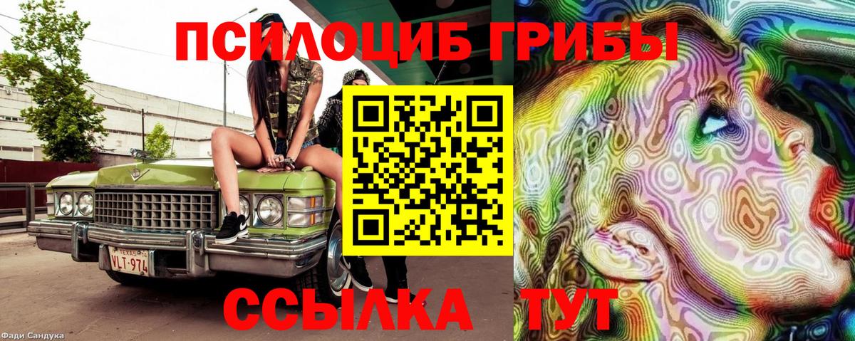 Псилоцибиновые грибы Cubensis  Вход с VPN  наркотики  Улан-Удэ 