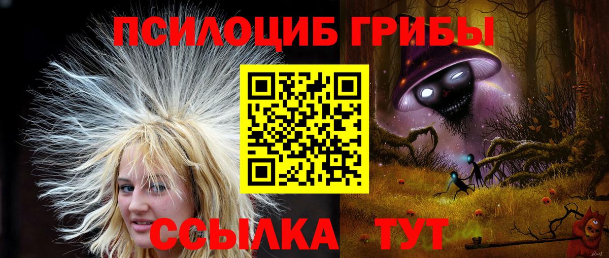 Галлюциногенные грибы Psilocybe Улан-Удэ