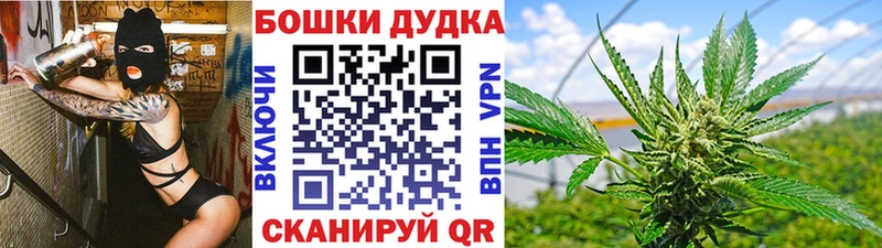 Канабис планчик  наркотики  Улан-Удэ 